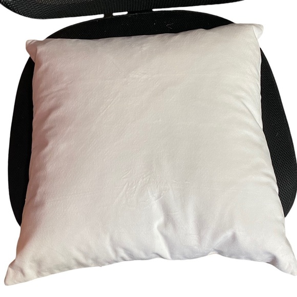 TWO Pillow Covers with Pottery Barn Duck Feather and Down Pillow Inserts - Picture 7 of 16